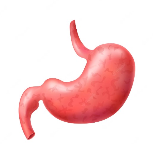 Is Capsaicin Good For Your Stomach.png